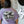 Load image into Gallery viewer, Fitted SS Cotton Tee - Dog Pilot - Dogtowne Dry Goods
