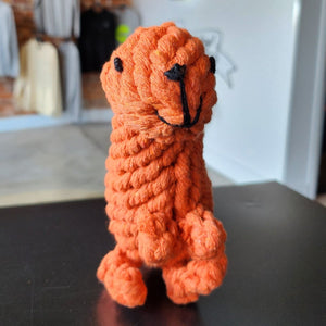 T-Rex Smiling - Dogtowne Dry Goods